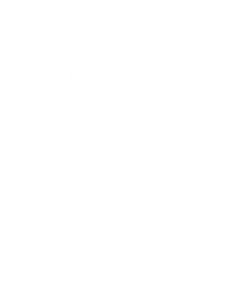 Flowing decorative image 2